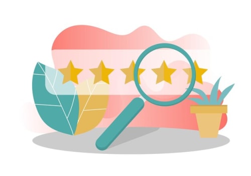Evaluating Mobile App Reviews: What to Consider